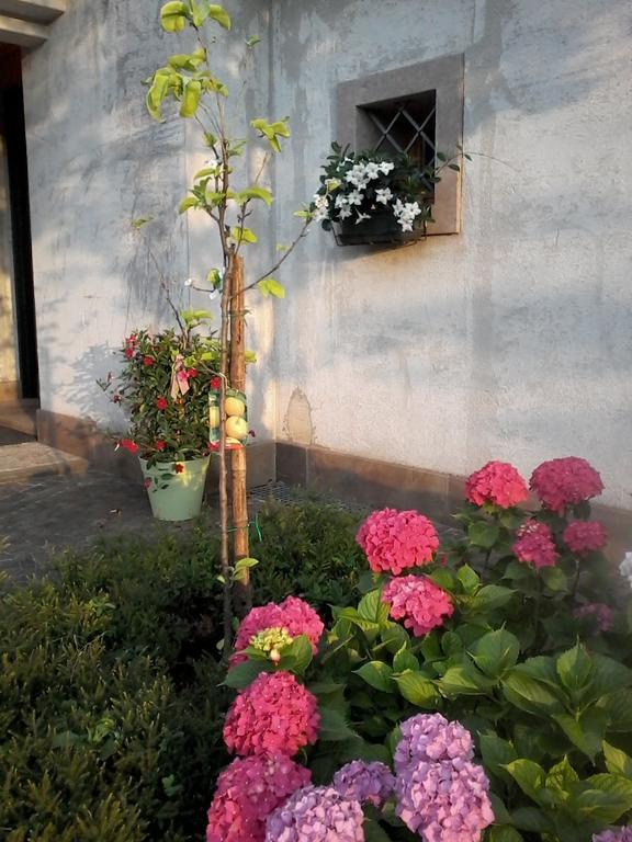 코넬리아노 Il Giuggiolo B&B 외부 사진