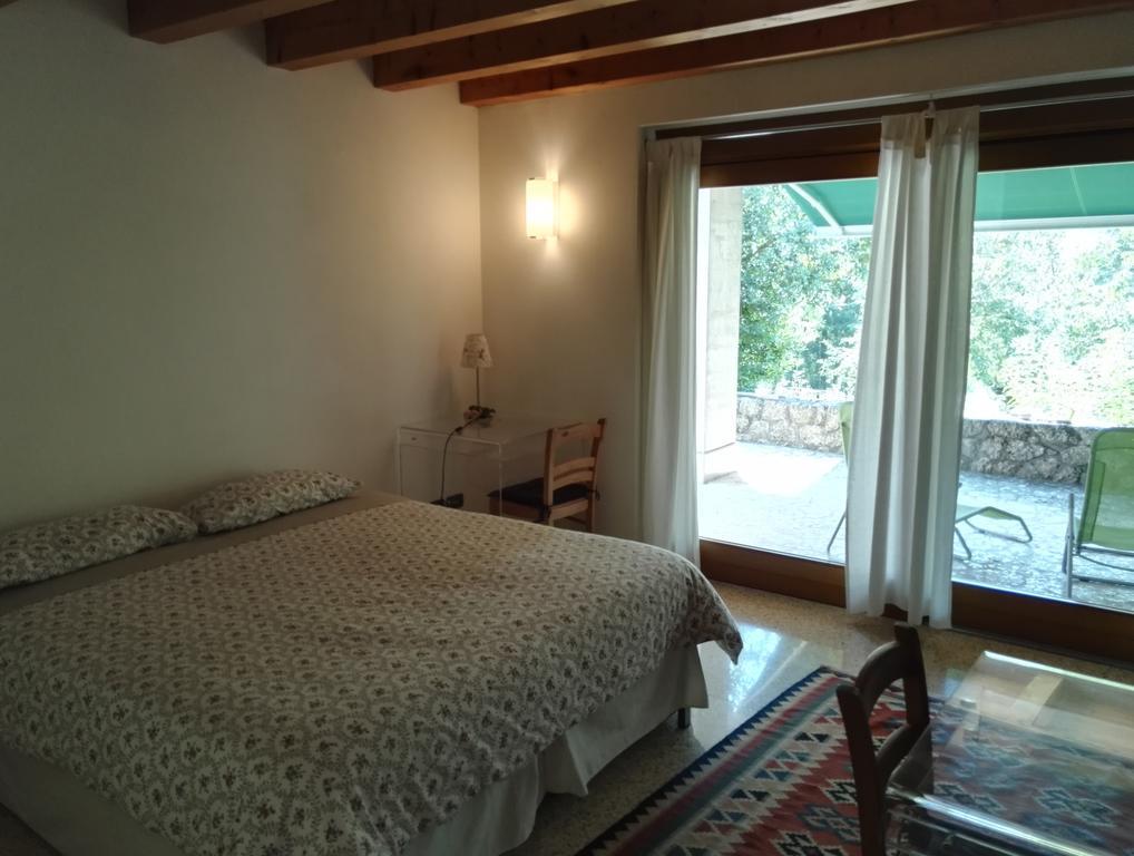 코넬리아노 Il Giuggiolo B&B 외부 사진
